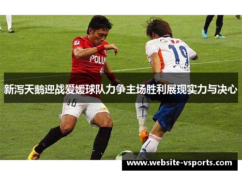 新泻天鹅迎战爱媛球队力争主场胜利展现实力与决心